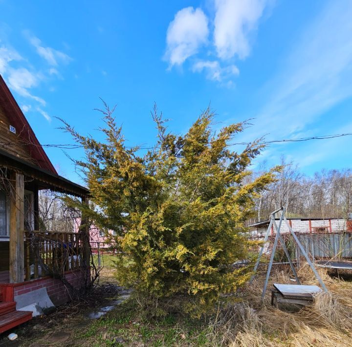 земля городской округ Мытищи д Ховрино снт Ховрино-1 Алтуфьево, 36 фото 4