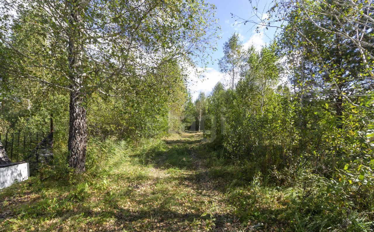 земля р-н Тюменский снт Горошинка Гороховая ул, Червишево фото 10