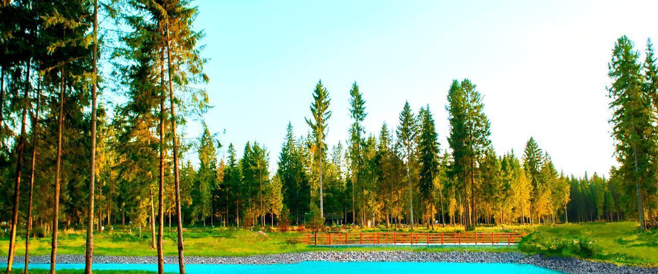 земля городской округ Истра д Исаково КП Павловы Озера Нахабино фото 6