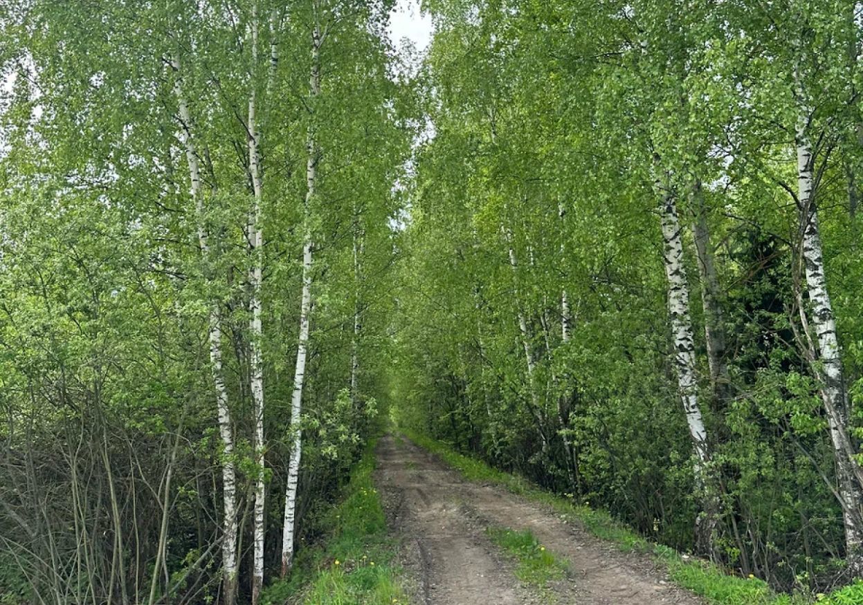 земля городской округ Богородский г Ногинск снт тер.Березка(Клюшниково) 9765 км, 99, Горьковское шоссе фото 10