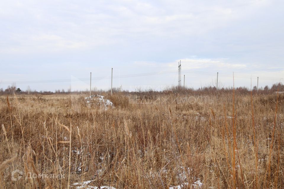 земля г Тюмень городской округ Тюмень, Центральный фото 3