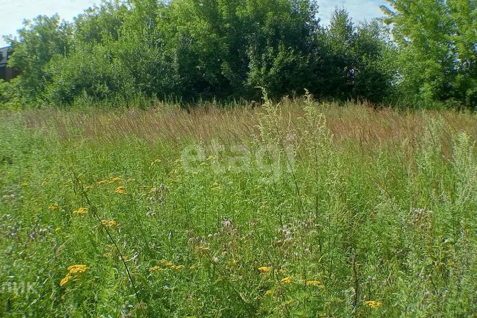 земля р-н Богородский село Афанасьево фото 9