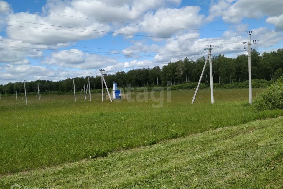 земля городской округ Тюмень, Червишевское кладбище 2 фото 6