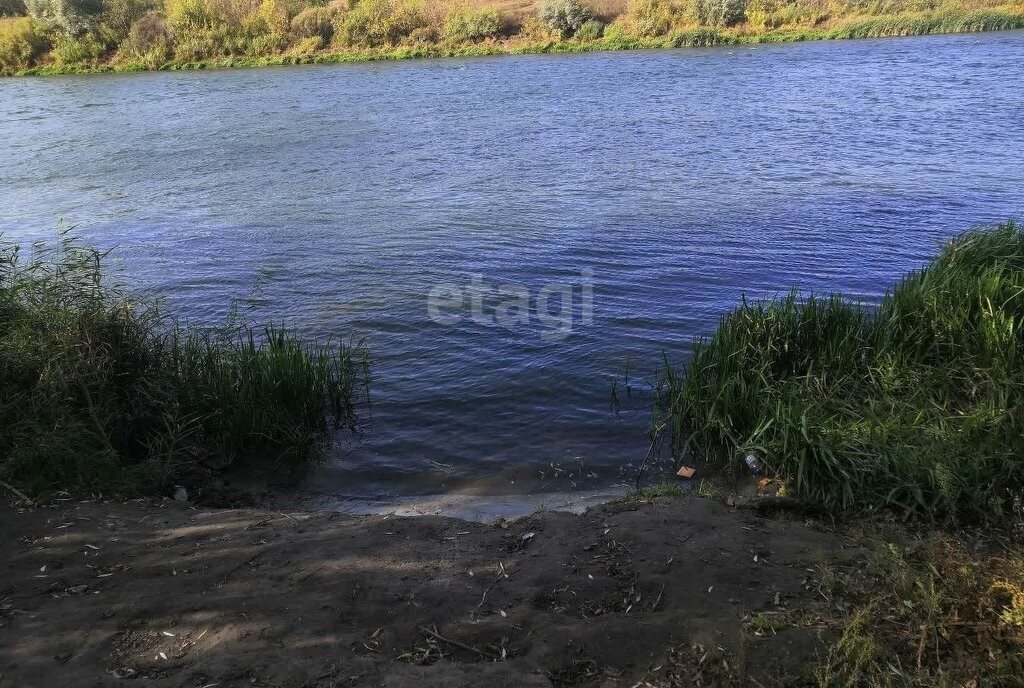 земля р-н Рамонский с Новоживотинное ул Новоселов фото 8