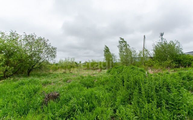 р-н Новосибирский дп Кудряшовский сельсовет, дачное некоммерческое партнёрство Тихая Заводь, Южная ул, Новосибирск фото