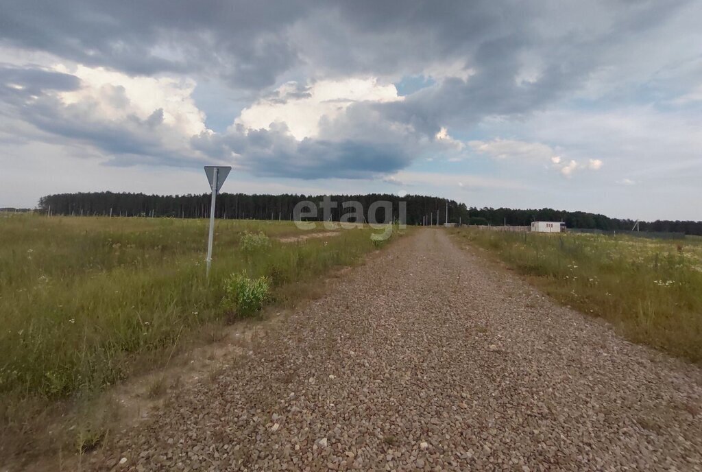 земля р-н Брянский д Дубровка Новодарковичское сельское поселение фото 2