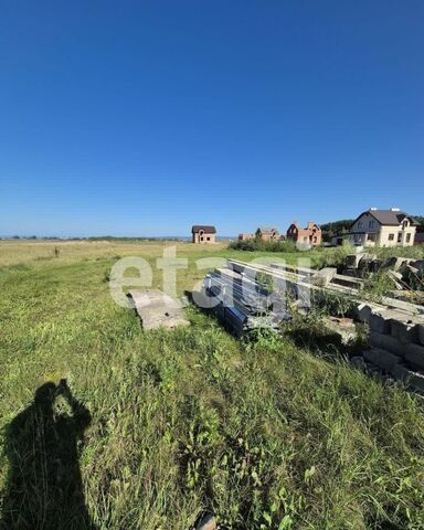 тер ДНТ Барвиха Есаульский сельсовет, Красноярск фото