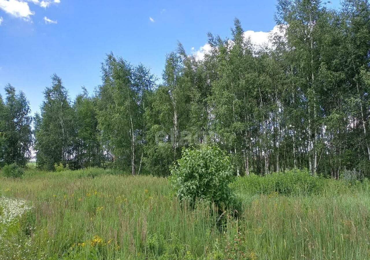 земля городской округ Раменский д Торопово 9765 км, Бронницы, Рязанское шоссе фото 10