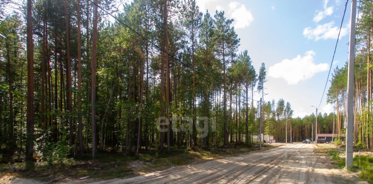 земля г Ханты-Мансийск снт Маяк ул. Аничковская, Сургут фото 2