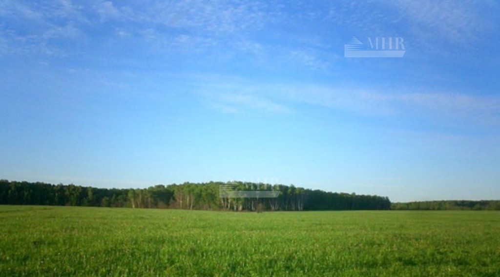 земля городской округ Одинцовский п Николина Гора Одинцово фото 1