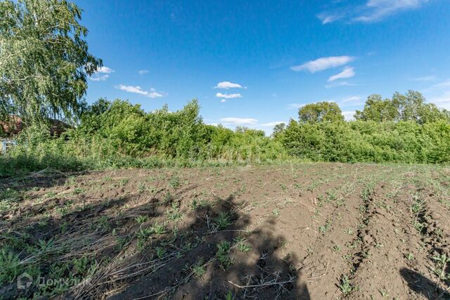 п Черницк ул Центральная городской округ Барнаул фото