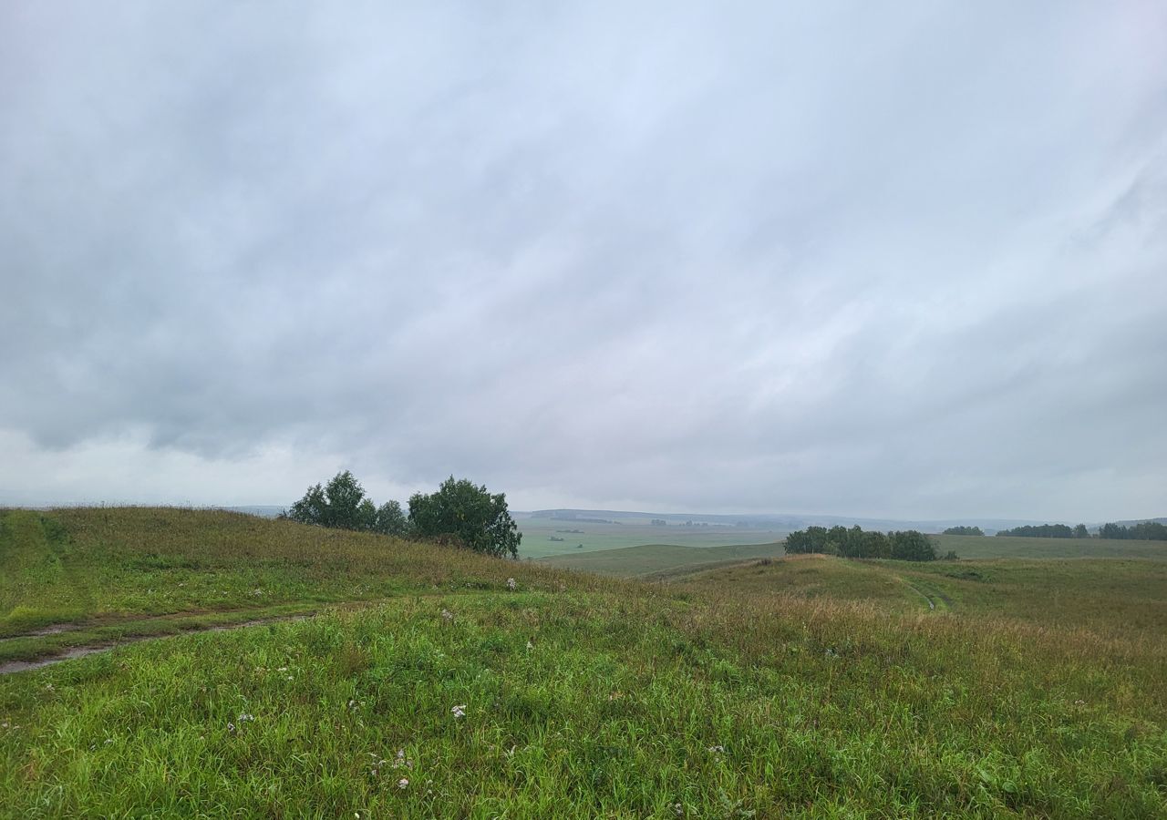 земля р-н Емельяновский с/с Элитовский сельсовет, Красноярск фото 5