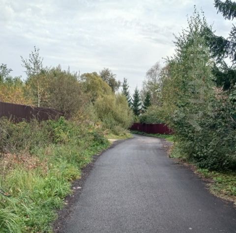 земля городской округ Наро-Фоминский д Бурцево ул Центральная Апрелевка фото 2