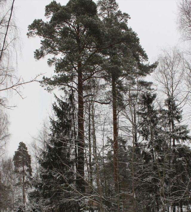 дом городской округ Одинцовский д Измалково ул Солнечная 12 Рассказовка фото 5