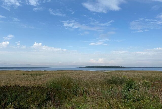 Приморское городское поселение фото