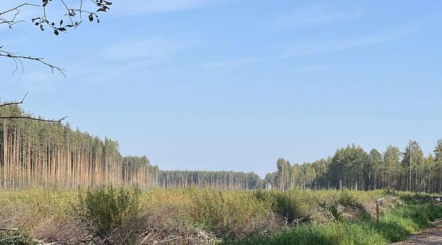 Всеволожское городское поселение фото