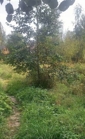 д Новая метро Девяткино тер. фото