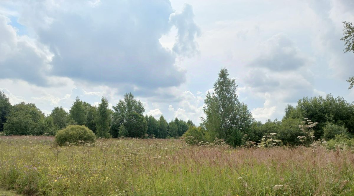 земля р-н Переславский д Болшево Переславль-Залесский городской округ фото 11