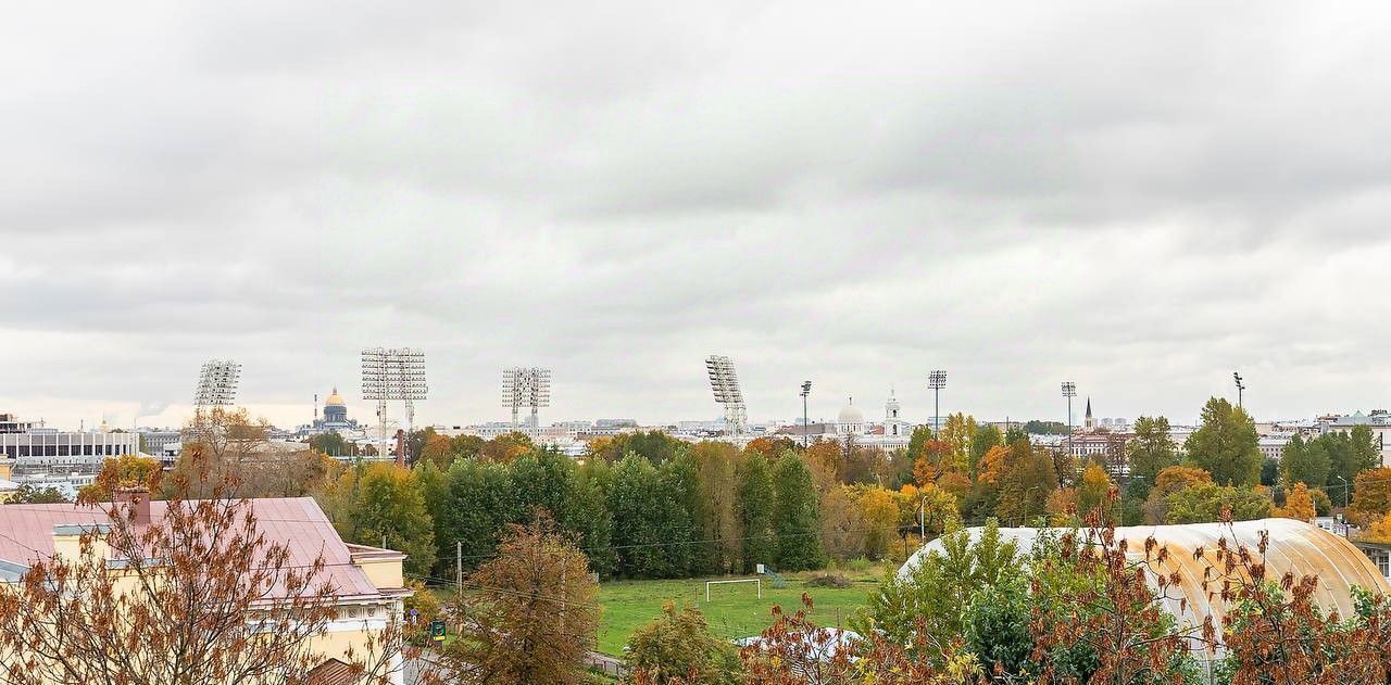 квартира г Санкт-Петербург метро Чкаловская ул Ждановская 29 округ Чкаловское, Петроградка фото 17