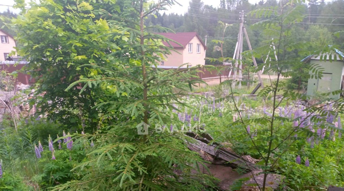 земля городской округ Солнечногорск д Гигирёво снт Культура Планерная, 7 фото 2