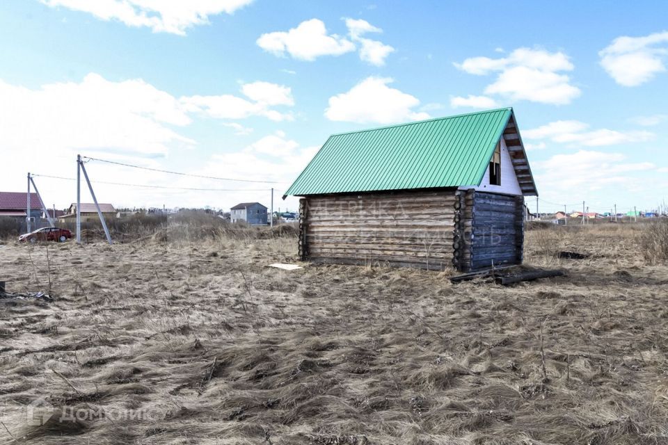 земля р-н Тюменский село Борки фото 4