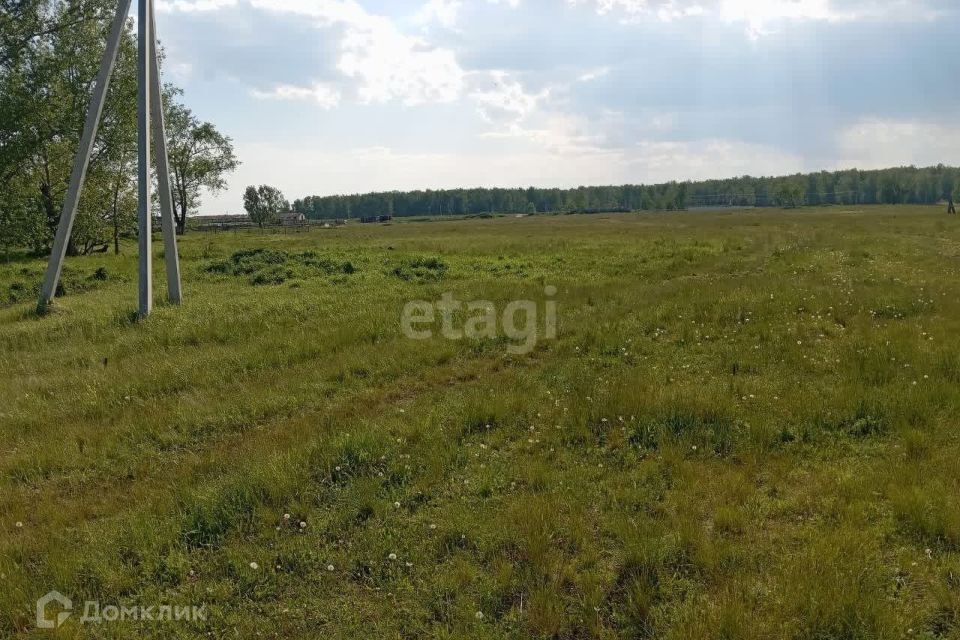 земля р-н Сосновский снт Малиновка ул 6-й квартал фото 3