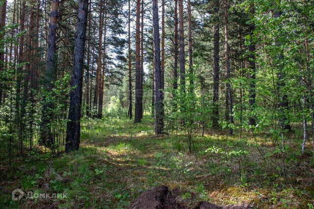 земля село Колюткино фото