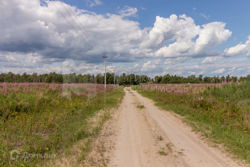 земля р-н Тюменский село Салаирка фото 5