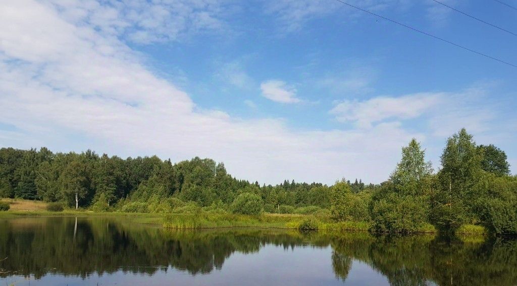 земля городской округ Солнечногорск д Сергеевка фото 2