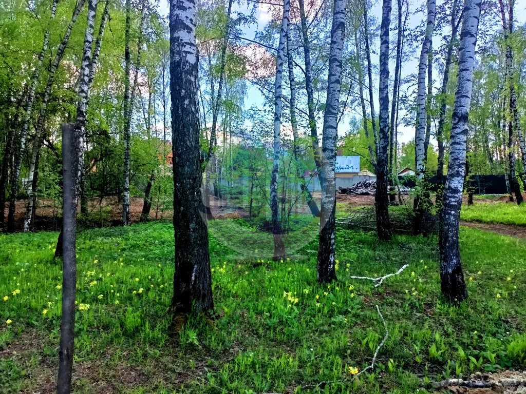 земля городской округ Ленинский д Мисайлово Домодедовская, Каширское шоссе фото 8