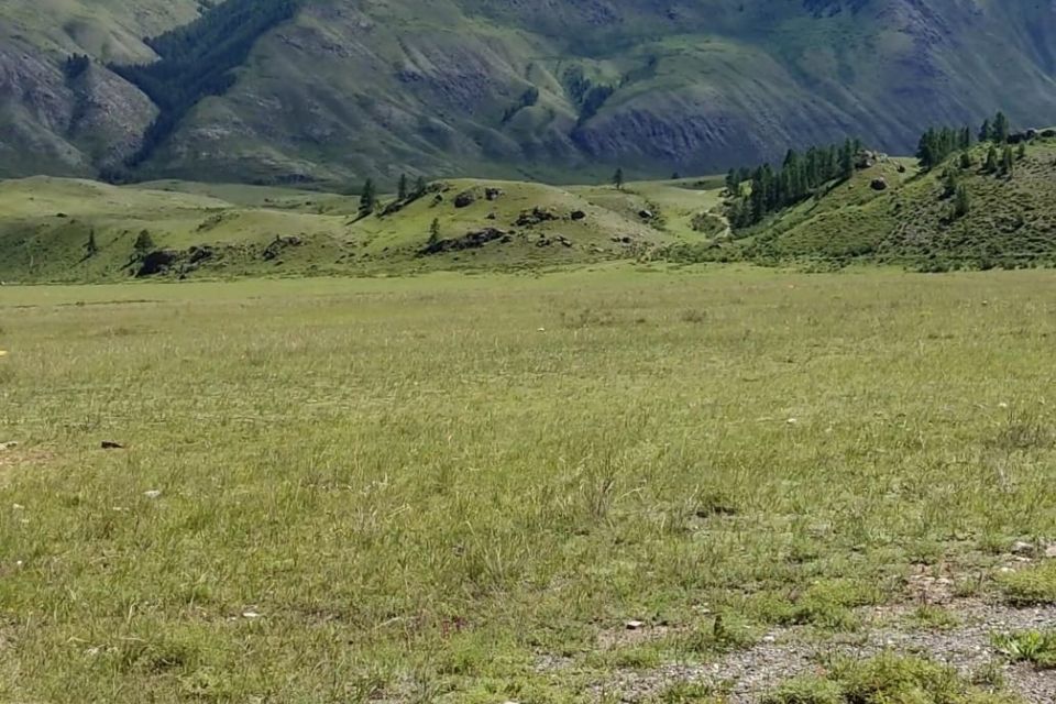 земля р-н Улаганский фото 2