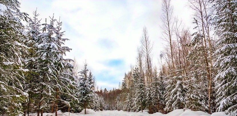 земля городской округ Ступино д Шелково фото 10