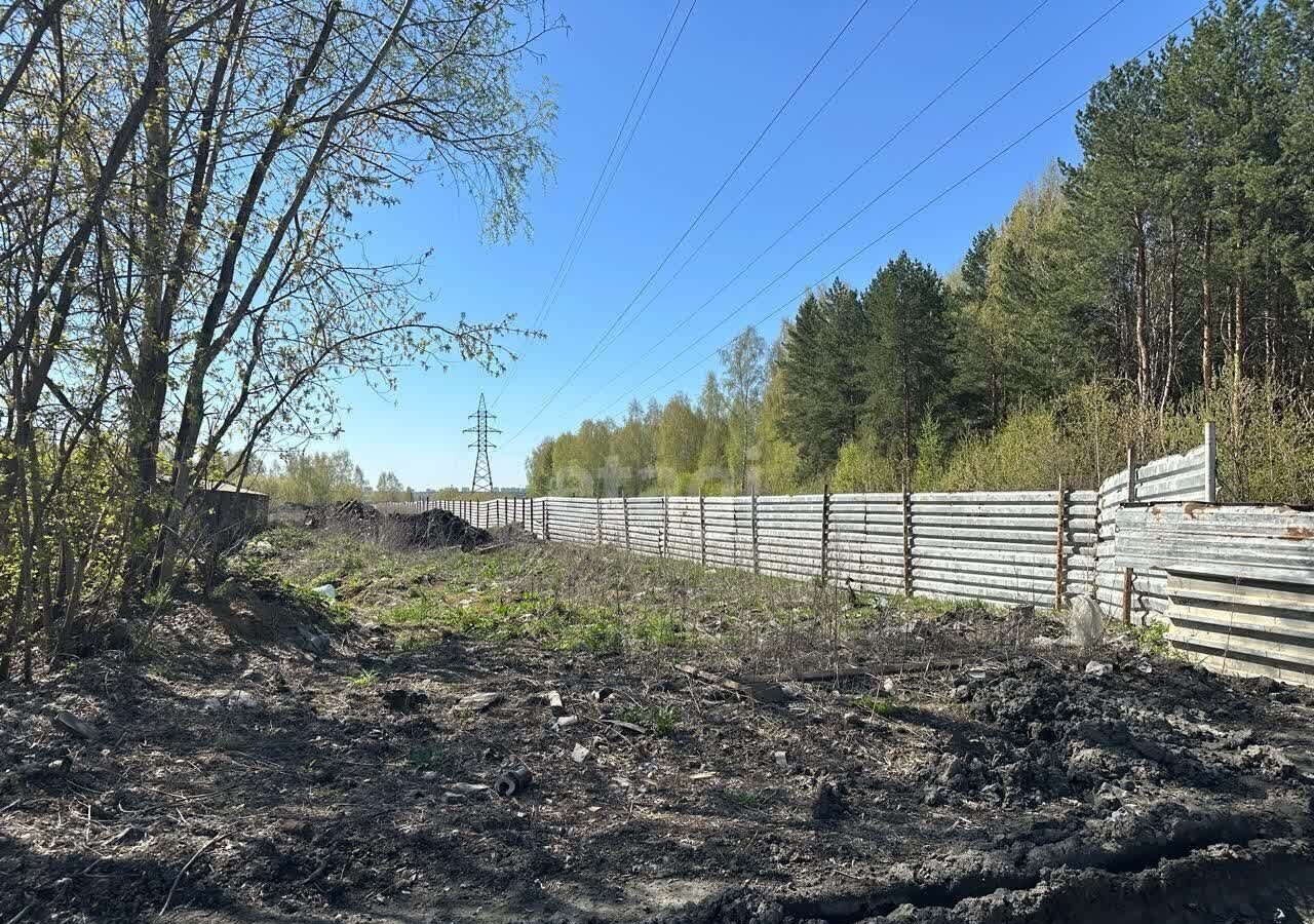 земля р-н Новосибирский с Новолуговое Новолуговской сельсовет фото 7