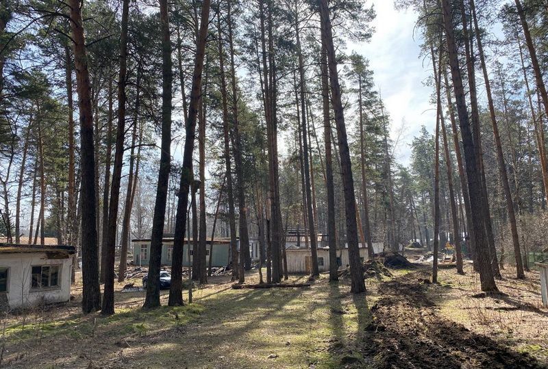 земля р-н Первомайский п Казачий Боровиха фото 10