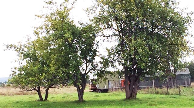 Переславль-Залесский городской округ фото Переславль-Залесский городской округ фото