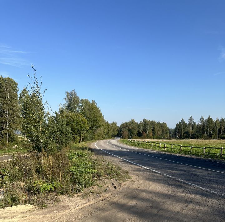 земля р-н Выборгский Рощинское городское поселение, Чуфрино-2 тер фото 2