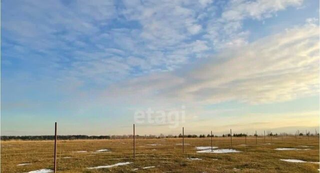 городское поселение Альметьевск фото