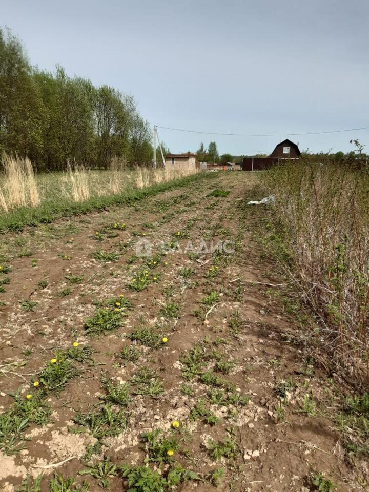 земля городской округ Дмитровский д Бунятино фото 11