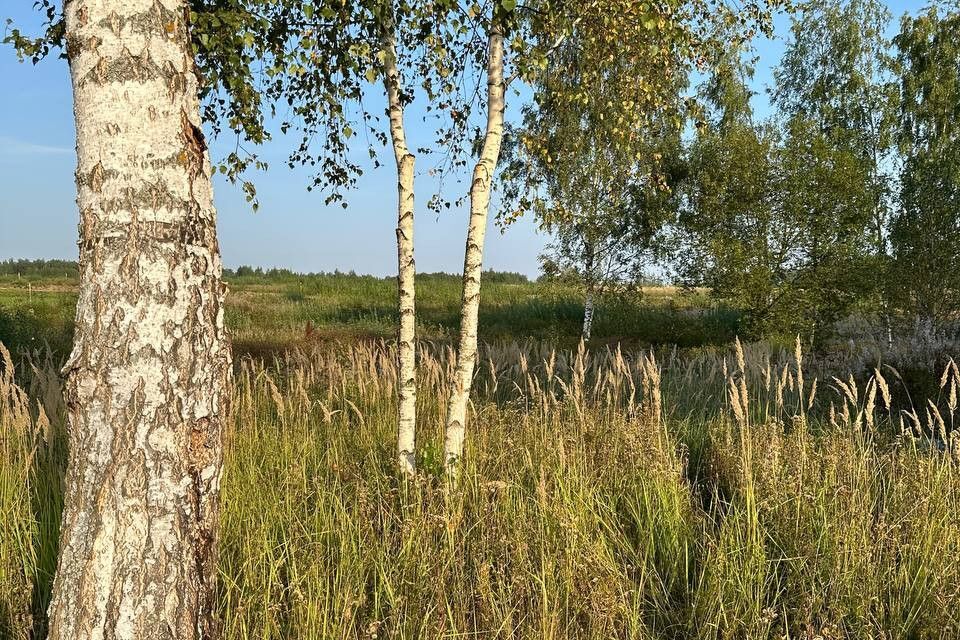 земля г Павловский Посад Павлово-Посадский городской округ, г Троицк, Подмосковные вечера фото 4