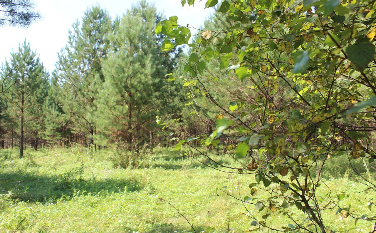 земля р-н Первомайский Санниковский сельсовет, Новоалтайск фото 16