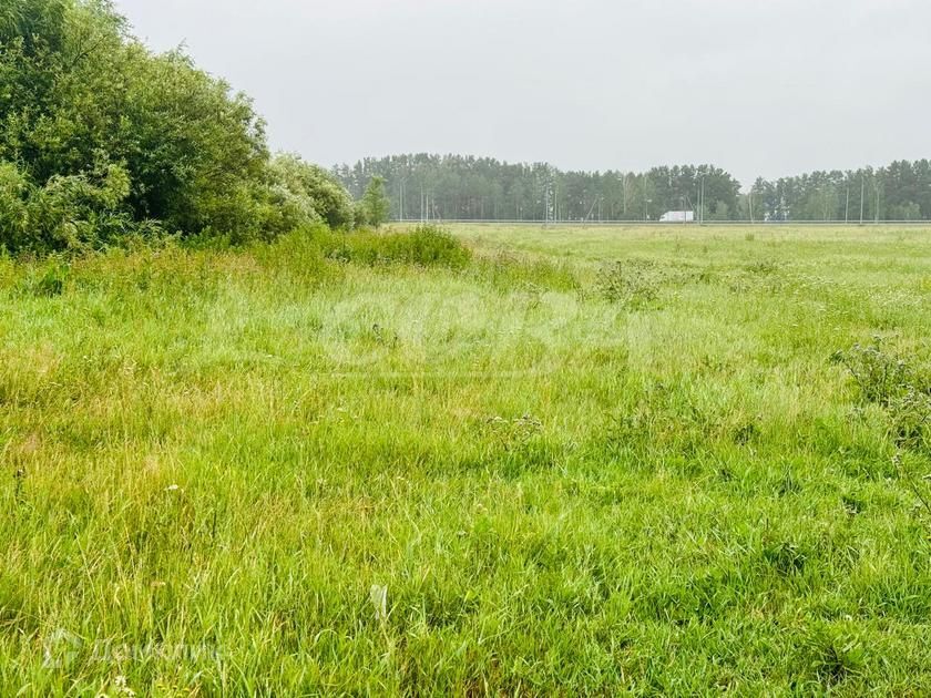 земля р-н Тюменский село Щербак фото 1