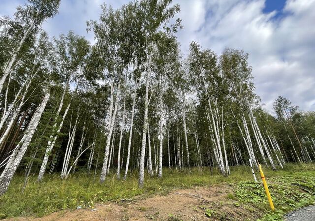 земля г Сысерть коттеджный пос. Заповедник, квартал Орёл, 15 фото