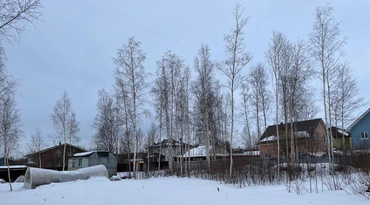земля г Павловск снт Павловское-1 метро Купчино 377 фото 3