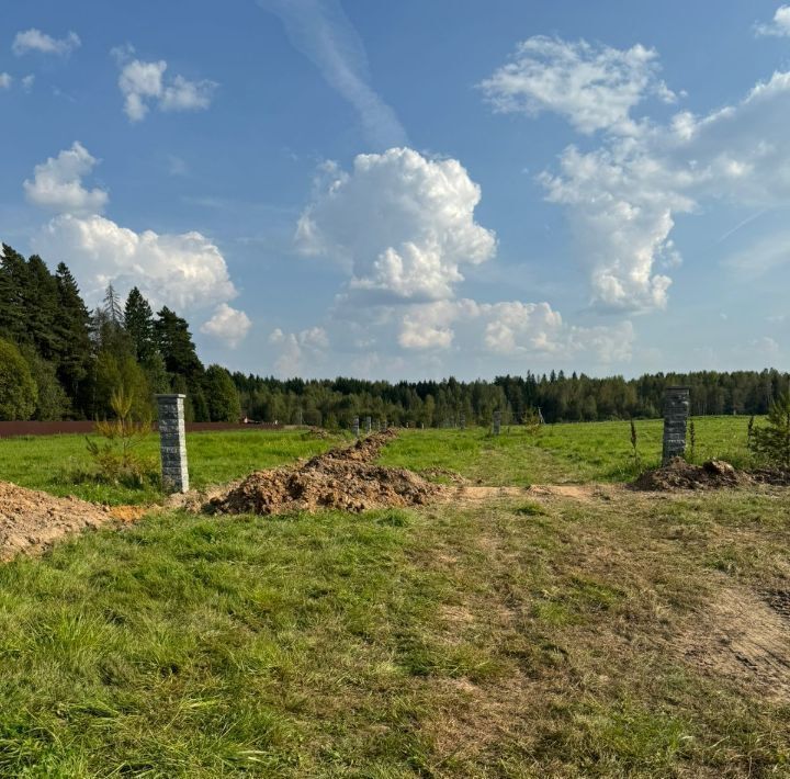 земля городской округ Наро-Фоминский Афинеево Парк кп, Апрелевка фото 5