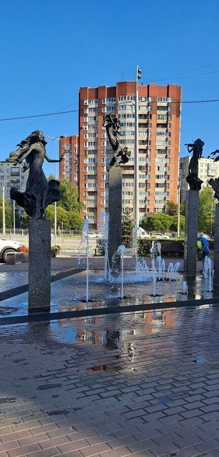 квартира г Санкт-Петербург метро Проспект Просвещения пр-кт Энгельса 150к/1б фото 4