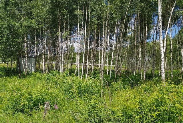 городской округ Дмитровский д Капорки Лобня фото