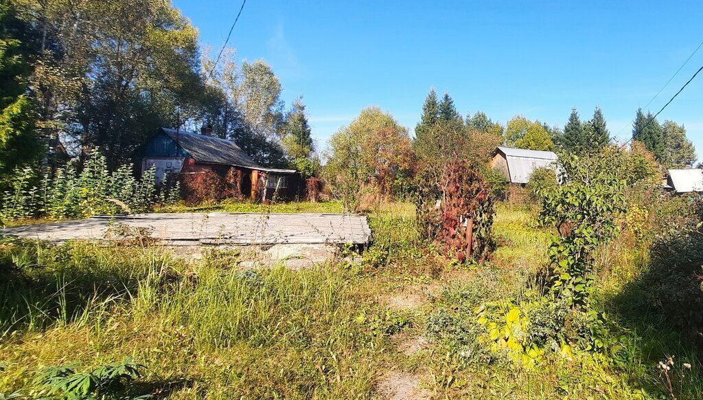 земля г Щёлково снт Берёзка-2 7, Сергиево-Посадский городской округ фото 1