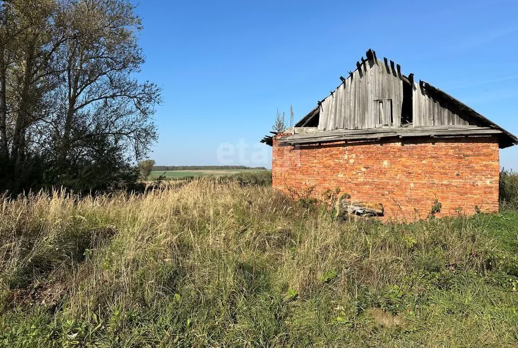 земля р-н Мещовский сельское поселение Молодёжный, село Домашовский Щебзавод, Центральная улица, 5А фото 6