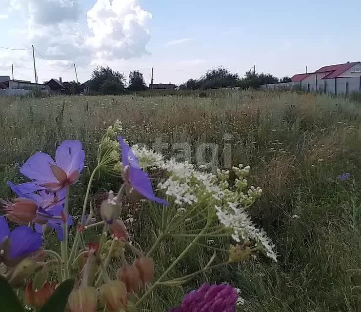 земля р-н Кунашакский село Большой Куяш фото 3