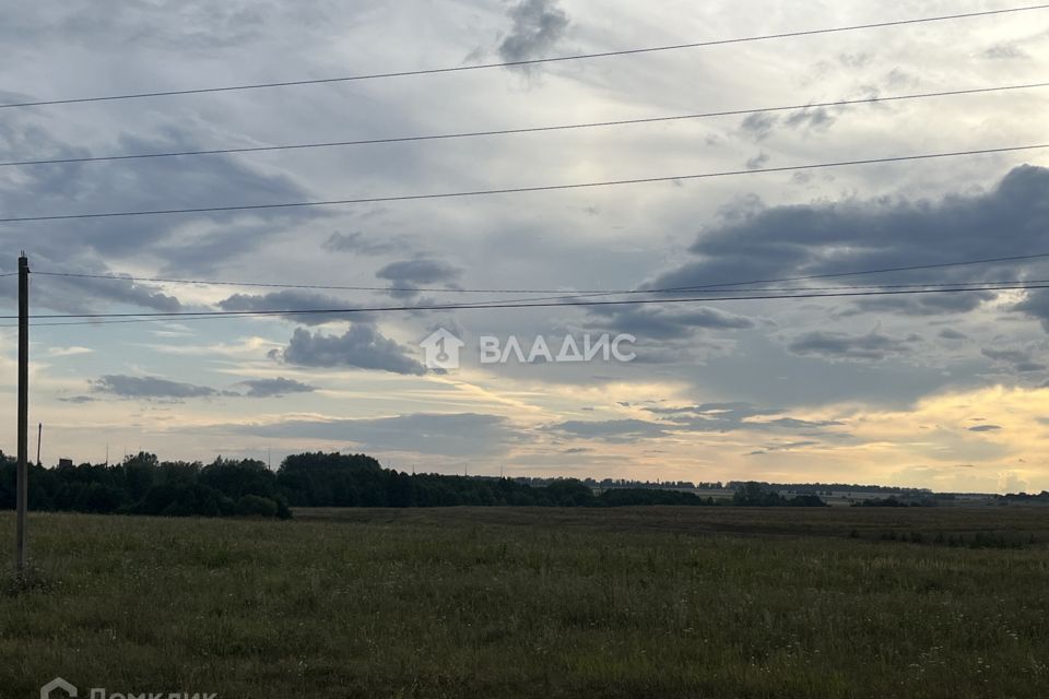 земля р-н Бессоновский с Бессоновка садоводческое товарищество Рябинушка фото 3